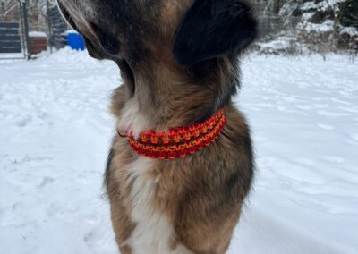 Makramee-Biothane Hundehalsband "Sole Leone"