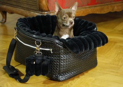 CozyJetBag - Multifunktionale Hundetasche (Schwarz)